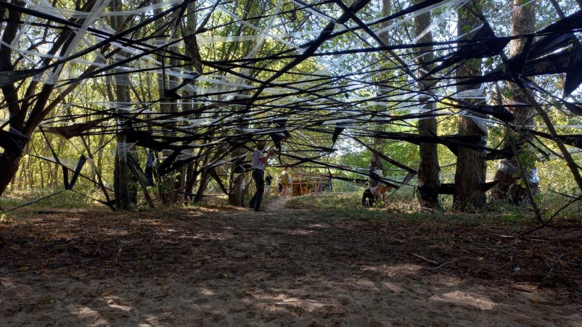 oeuvre d'une toile d'araignée géante dans une forêt