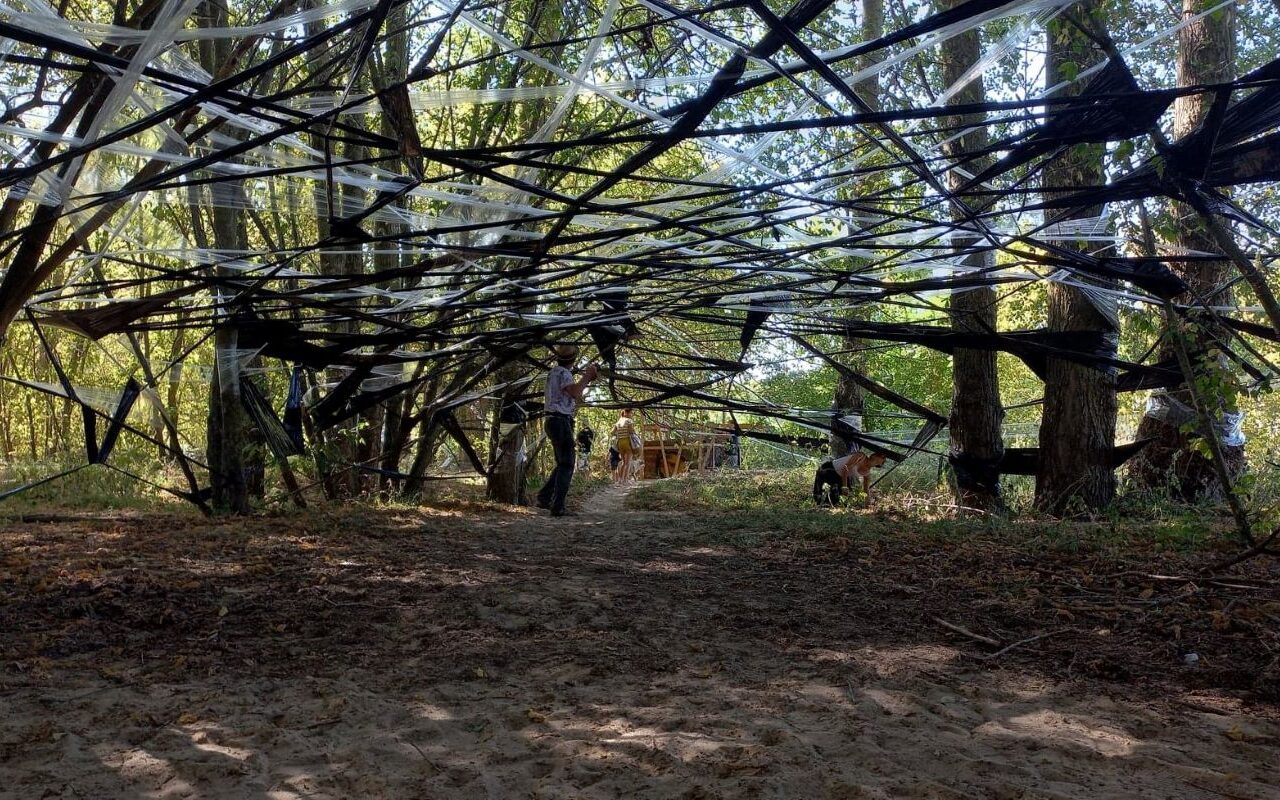 oeuvre d'une toile d'araignée géante dans une forêt