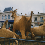 les-chevres-vincent