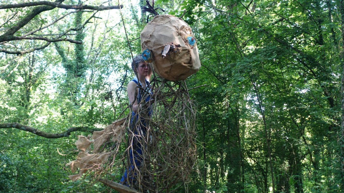 Tourterelle des bois de Zea Querrien