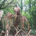 tourterelle-dans-les-bois