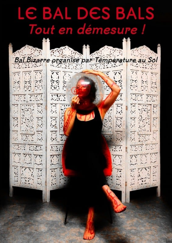 photo-affiche-bal-immersif-muel