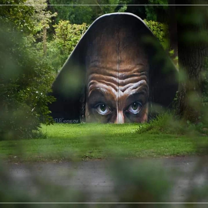 voyeur-grand-leurre-bretagne