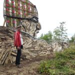 nageur des bois avec vincent fonf