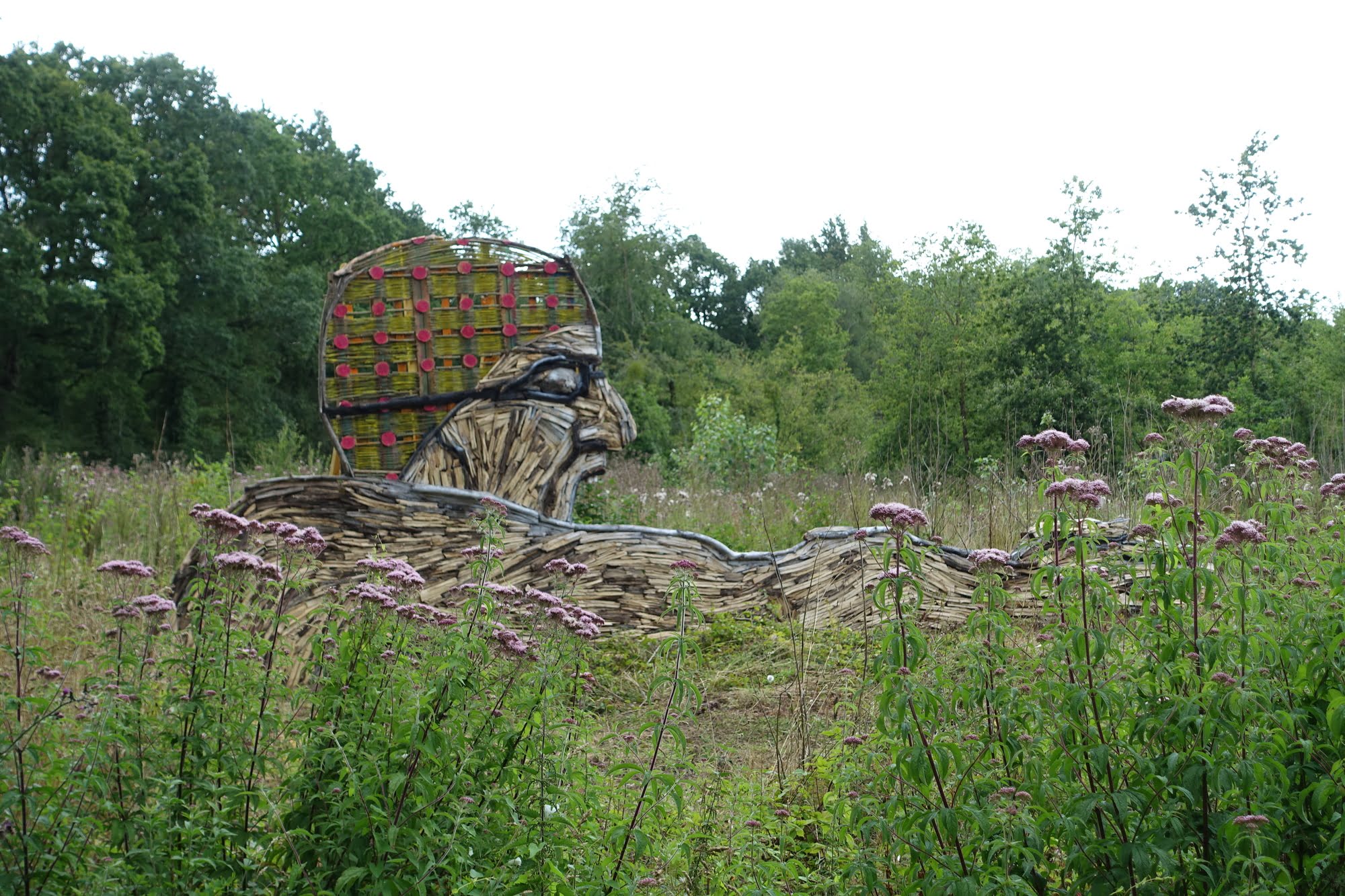 nageur des bois